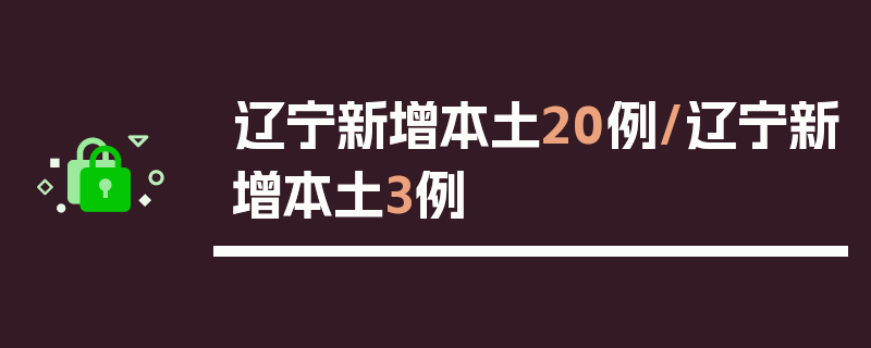 辽宁新增本土20例/辽宁新增本土3例