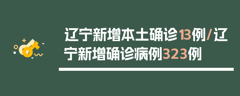辽宁新增本土确诊13例/辽宁新增确诊病例323例