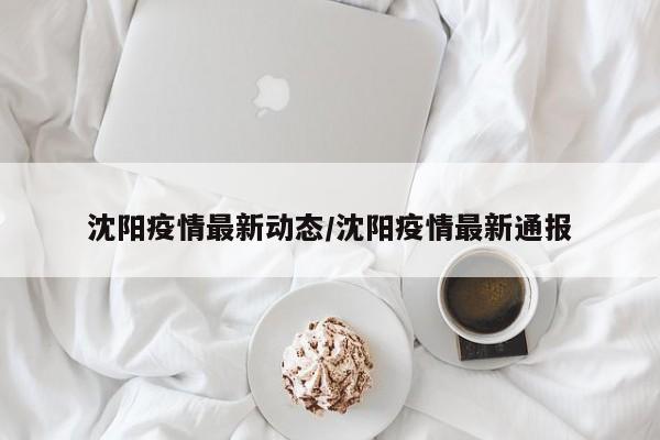 沈阳疫情最新动态/沈阳疫情最新通报