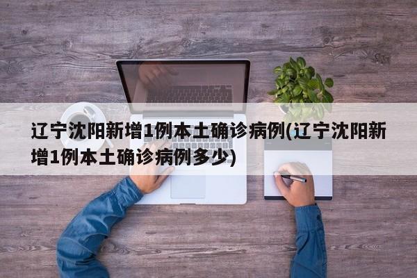 辽宁沈阳新增1例本土确诊病例(辽宁沈阳新增1例本土确诊病例多少)