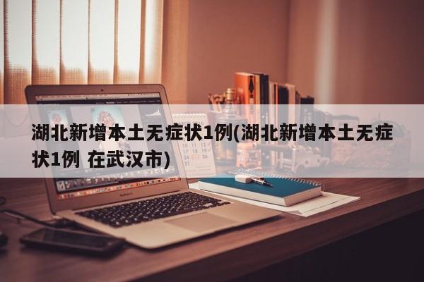 湖北新增本土无症状1例(湖北新增本土无症状1例 在武汉市)